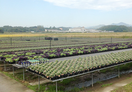 業者様・大量購入をご希望の方へ